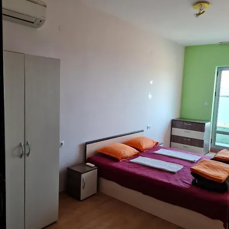 Apartment елка