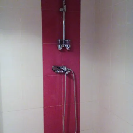 Apartment елка