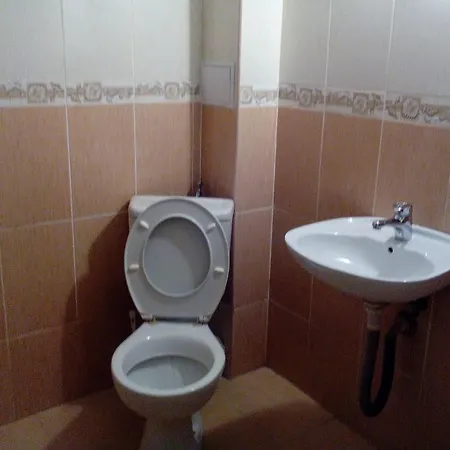 елка Burgas