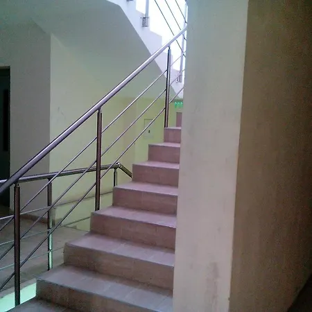 Apartment елка
