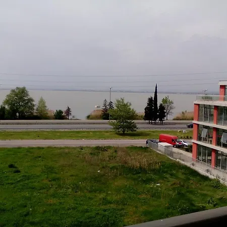 елка Burgas