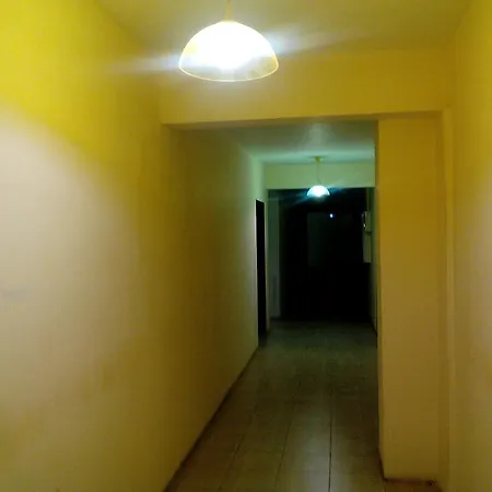 Apartment елка *