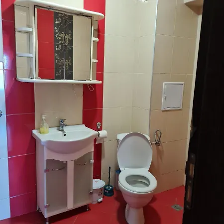 Apartment елка *