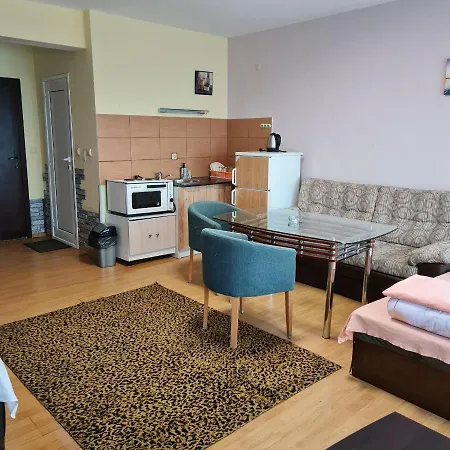 елка Apartment *