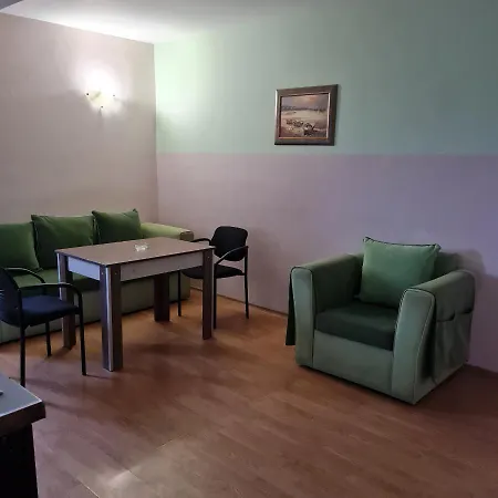 елка Apartment *
