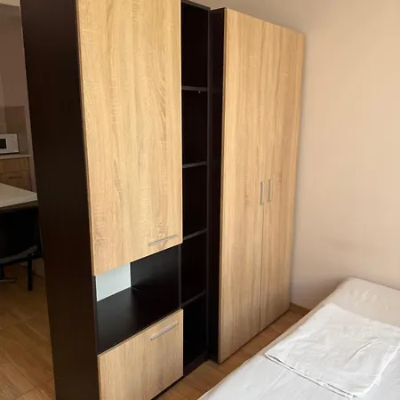 елка Apartment *