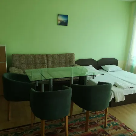 Apartment елка