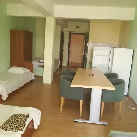 елка Apartment *