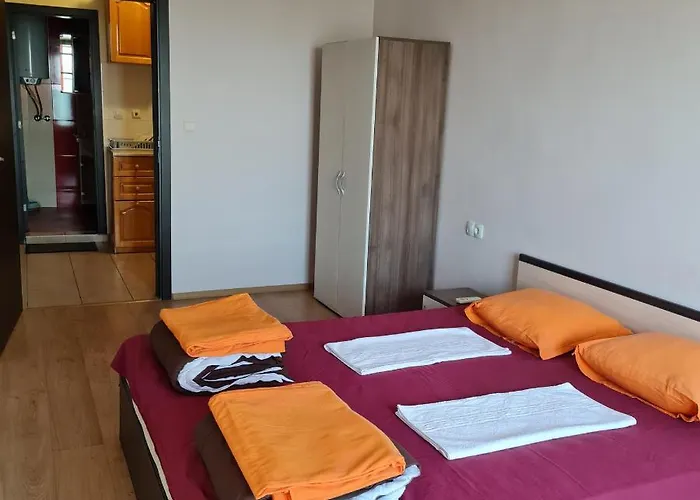 елка * Burgas City