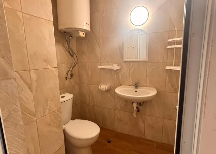 елка * بورغاس