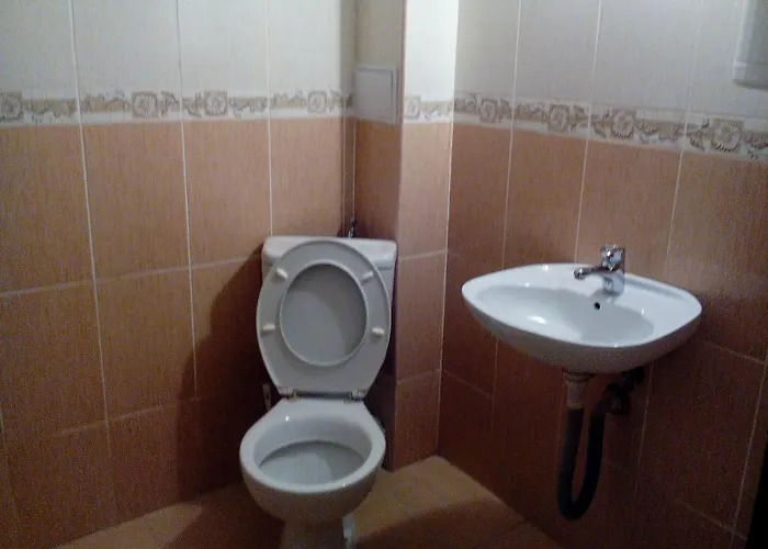 елка بورغاس