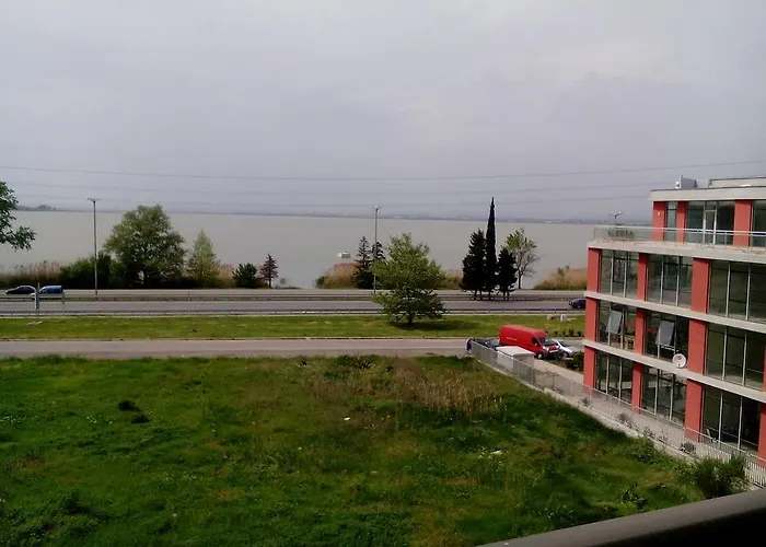 елка بورغاس