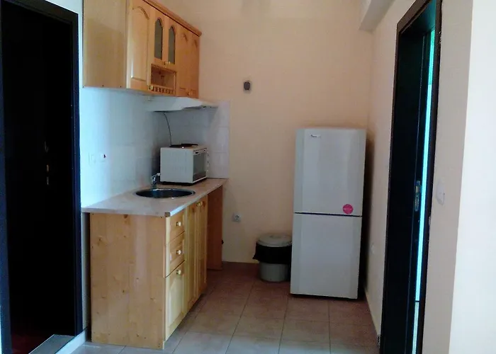 شقة елка بورغاس