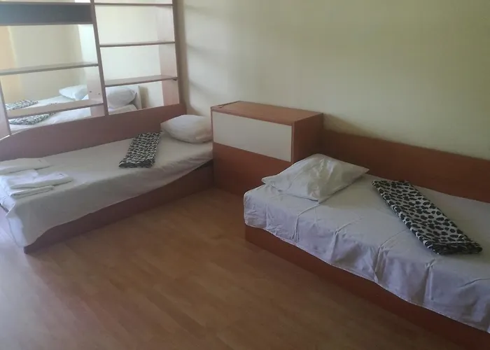 елка * بورغاس