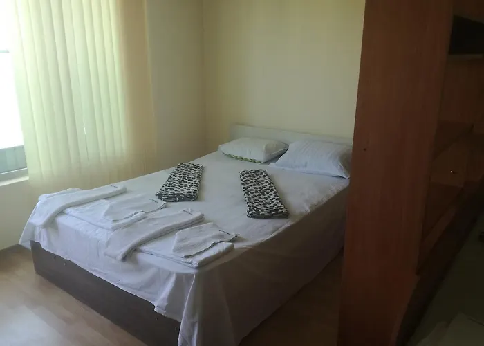 елка * بورغاس