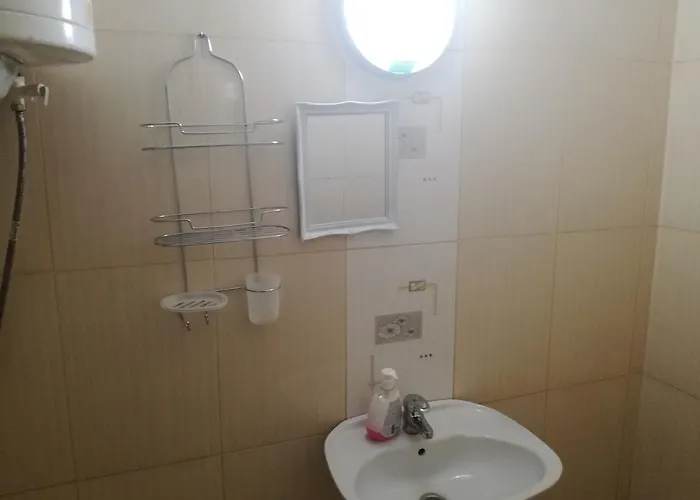 елка بورغاس